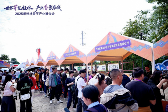 活动现场人头攒动。主办方供图