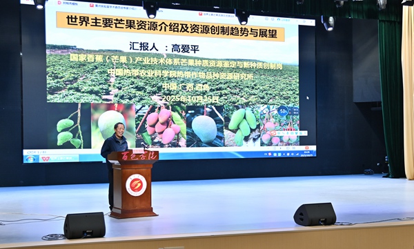 芒果生物学学术交流。邓民胜摄