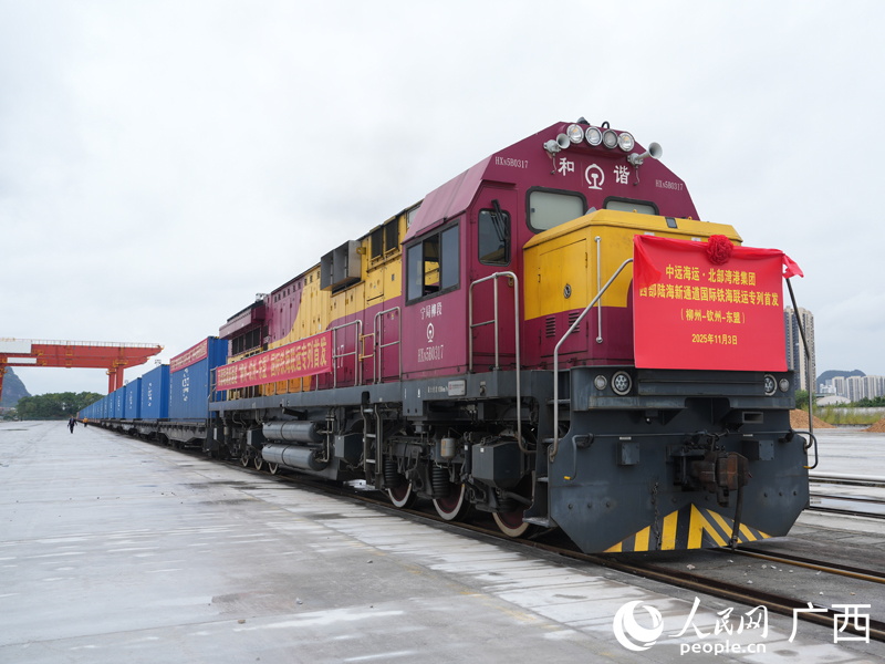 西部陆海新通道柳州—钦州—东盟铁海联运专列发车。