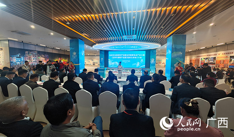 招商引資推介會現場。人民網記者 嚴立政攝