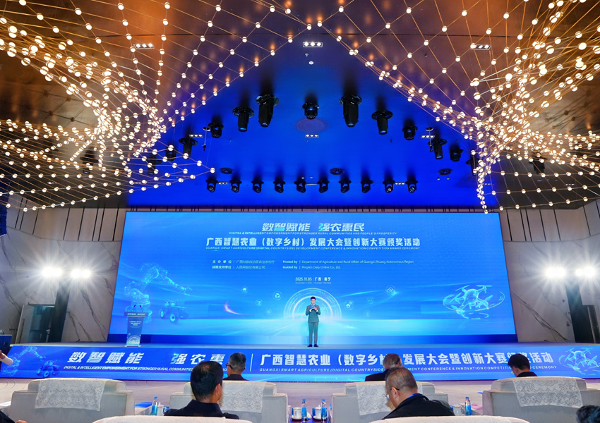 活動現場。主辦方供圖