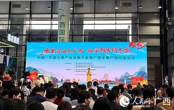 大會現場。人民網 何寧攝