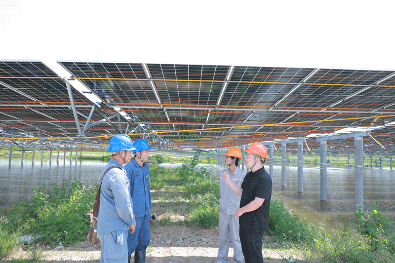 南方電網廣西電網公司積極優化新能源並網流程,推出“一站式”辦電服務。廖柳伶攝