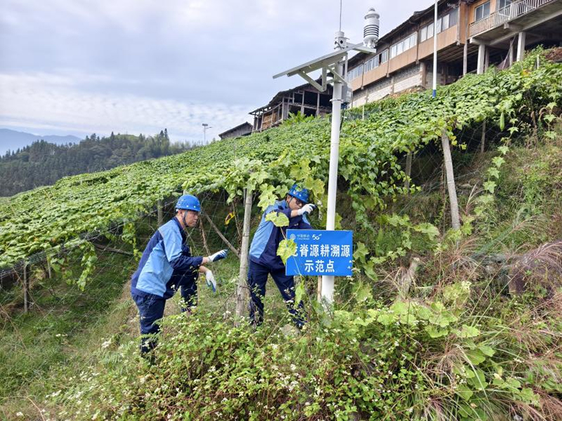 部署在果園的土壤墒情設施。徐先麗攝