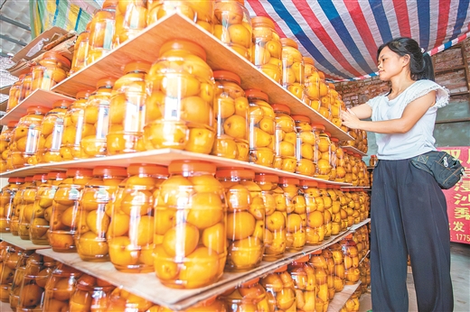 一罐罐盐浸沙梨摆放整齐。记者韦雨函/摄