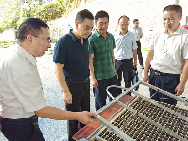 梧州運營公司觀摩李叔(左三)自主改良的剝繭機。