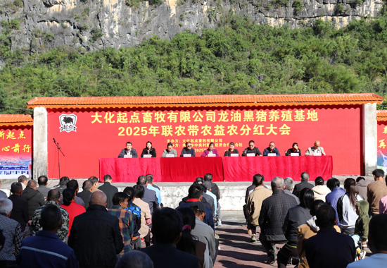 活動現場。大化共和鄉人民政府供圖