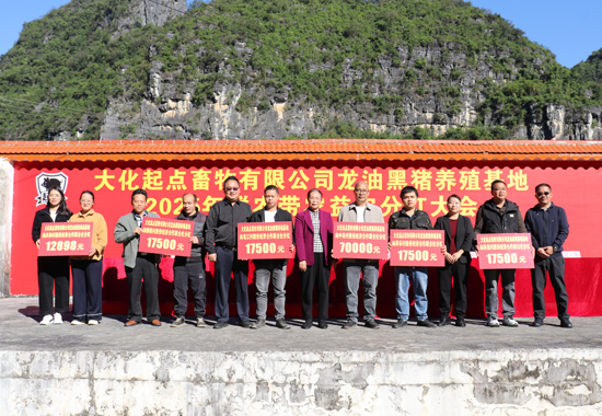 活動現場。大化共和鄉人民政府供圖