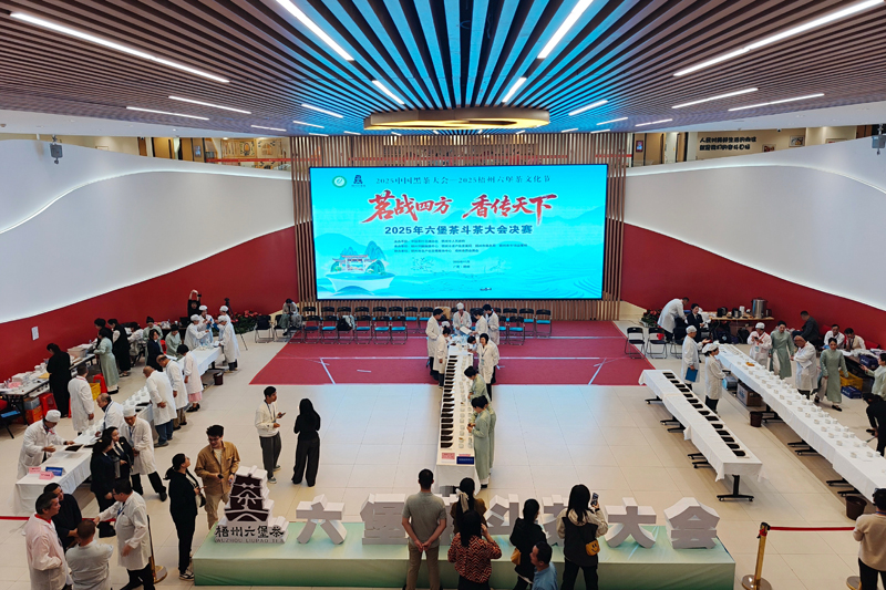 2025年六堡茶斗茶大会决赛现场。主办方供图