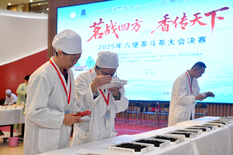 决赛现场。主办方供图