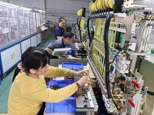 玉商回歸良田鎮石垌村手機電子配件小微產業園達海科技公司。羅釗攝