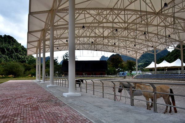 室內矮馬場。黃琪攝