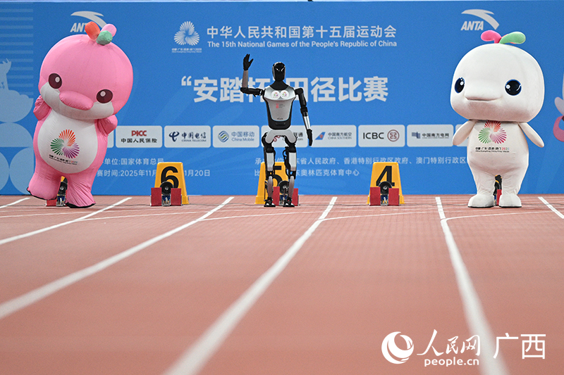 十五運吉祥物“喜洋洋”“樂融融”與優必選人形機器人Walker S2進行百米賽跑。人民網 雷琦竣攝