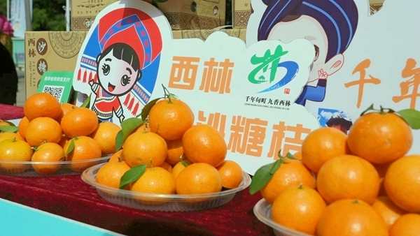 西林縣展位展示的西林金秋沙糖桔。農映連攝