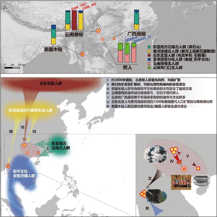 悬棺人群的遗传祖源