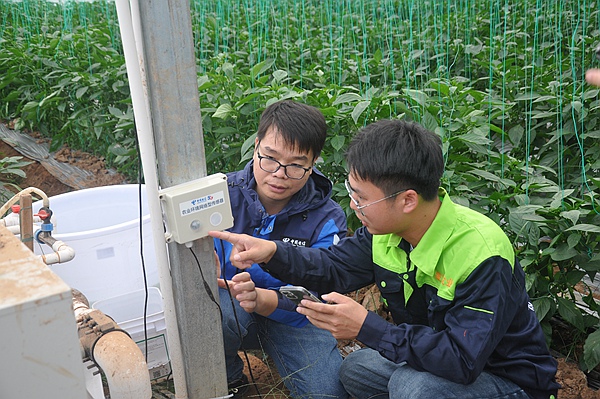 广西电信员工与基地工作人员一道检查大棚内的智能设备。曹帅摄