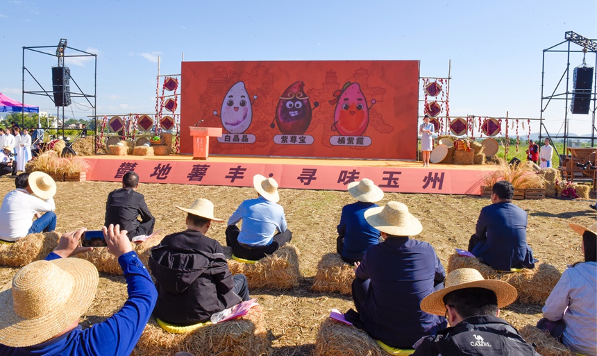 仁厚大番薯IP形象发布。