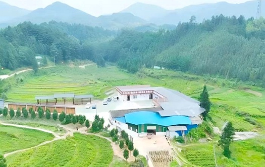 资源县林下药食同源中药材产业示范区