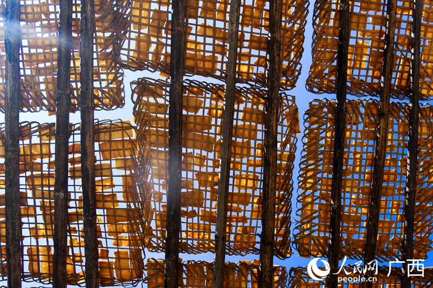 平細村筍農晒在屋頂的筍片，在陽光下一片金黃。