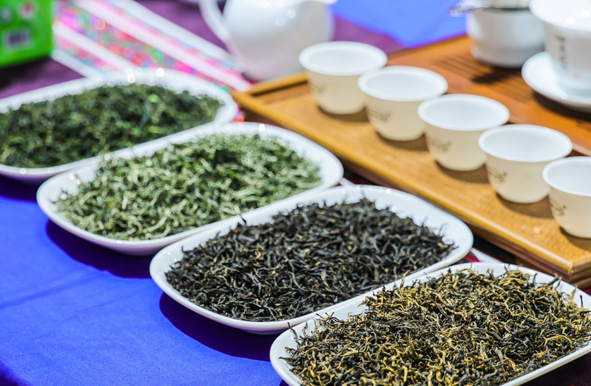 各類茶葉。主辦方供圖