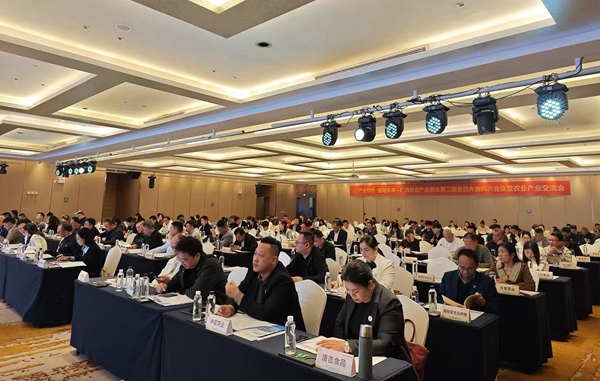 会议现场。主办方供图