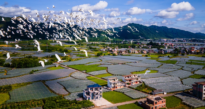 资源县乡村美景