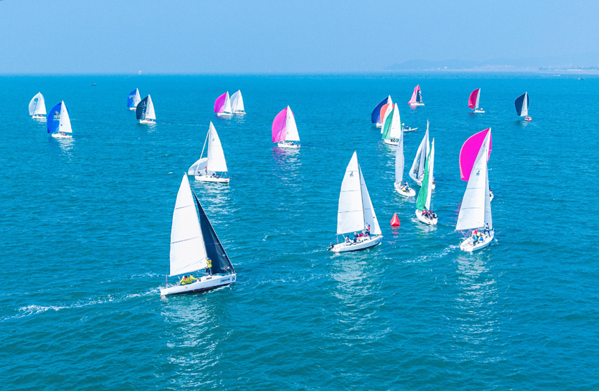 参赛帆船在海面驭风逐浪。