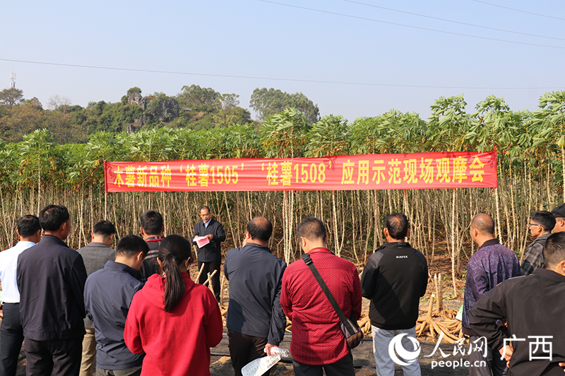 观摩会现场。人民网 刘璐瑶摄