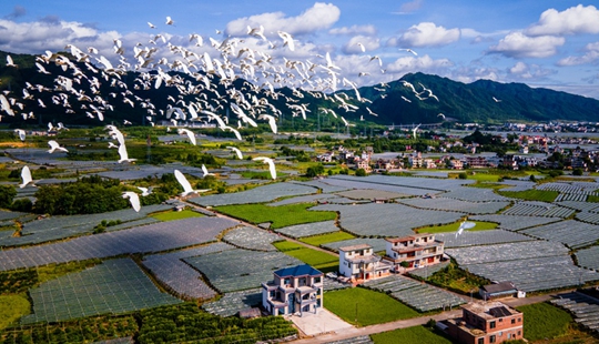 资源县书写“富绿双赢”美丽答卷