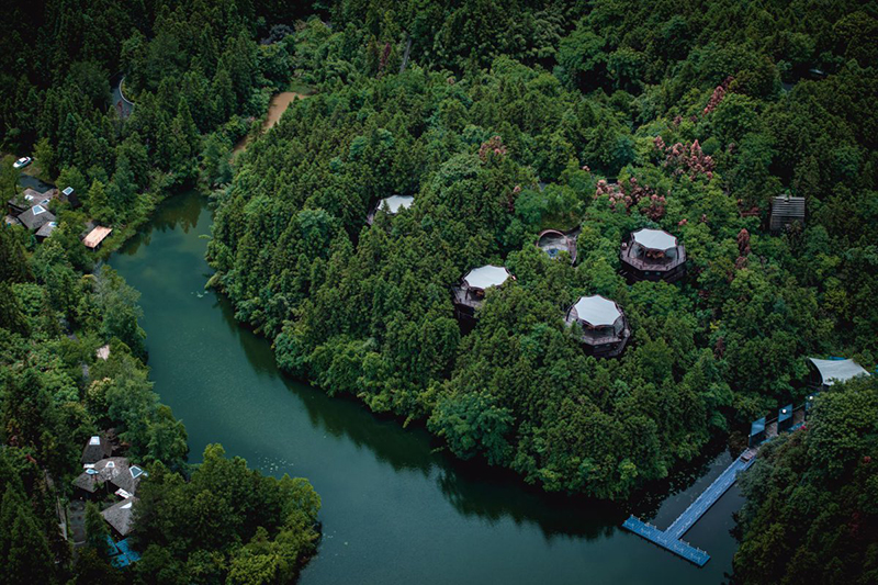 藏在林中的树屋。受访者供图