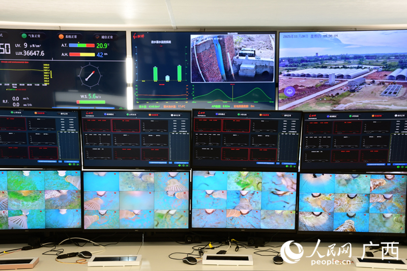 東興市紅樹林農業有限公司總控室。人民網 龐惠文攝