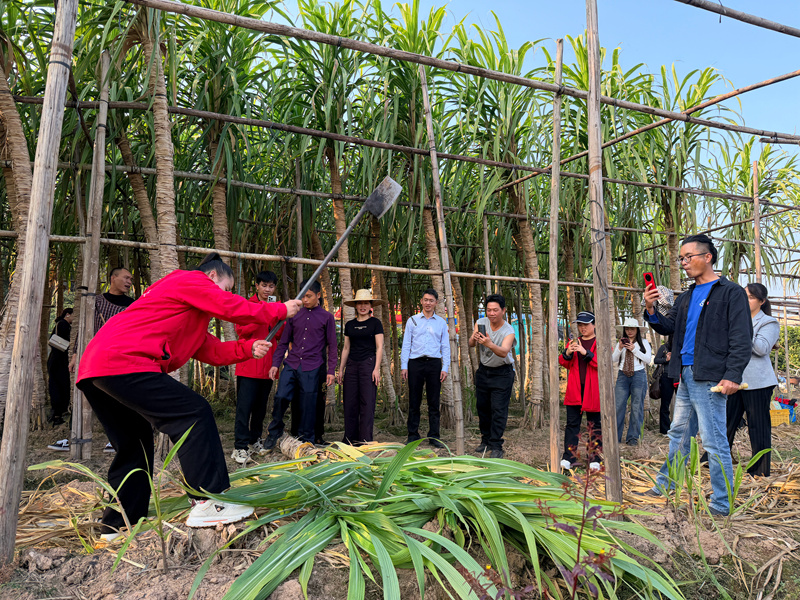 学员在采集直播前预热视频镜头。主办方供图
