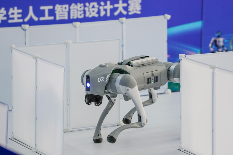 比赛现场。主办方供图