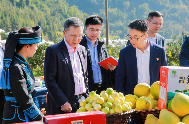 种植基地现场调研。中国平安集团供图
