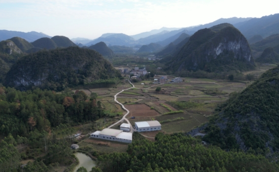 大圩镇高寨村。朱婷摄