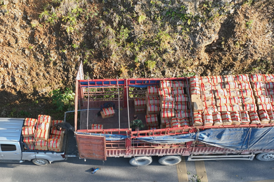 正在装载生姜。乐业县委宣传部供图