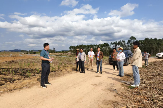 人大代表开展道路硬化项目前期调研