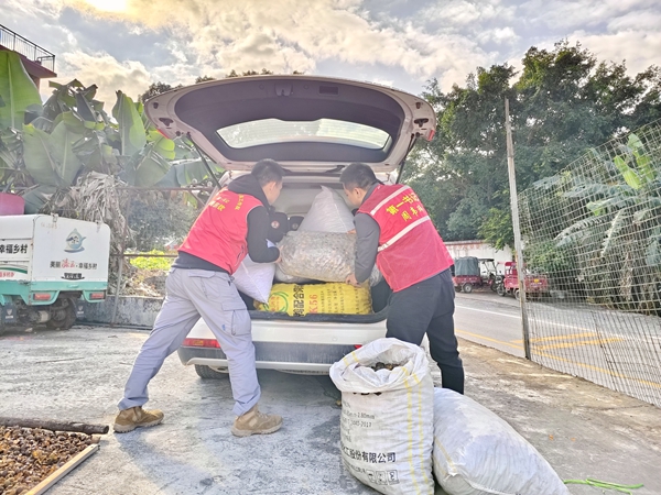 “第一书记”帮助农户搬运油茶果。