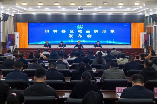 田林縣區域品牌形象發布會現場。余海瀟 攝