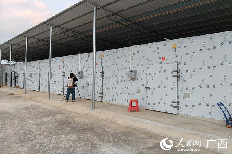 食用菌智能方舱种植基地。人民网 刘璐瑶摄