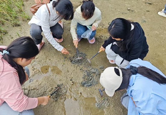 在紅樹林開展研學活動。北海職業學院供圖
