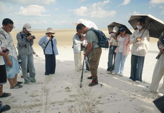 在北海銀灘開展研學活動。北海職業學院供圖