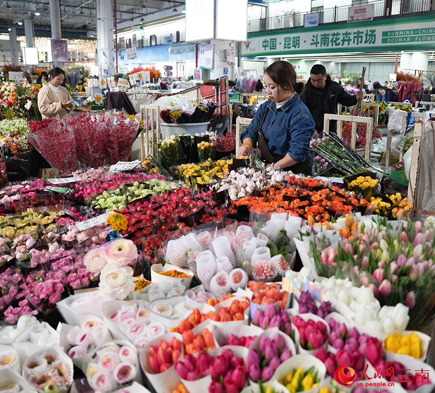 花商在打理鲜花，准备迎接游客和市民的到来。