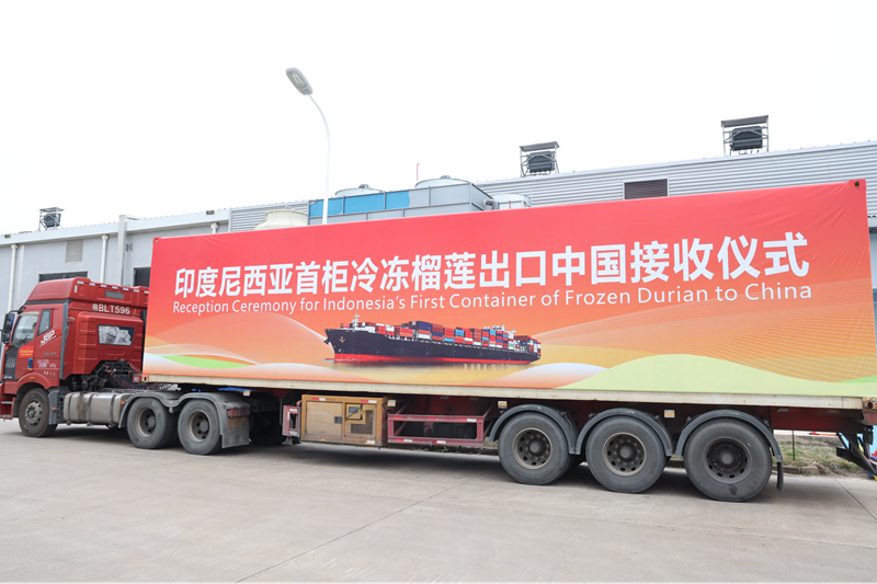 印度尼西亚首柜冷冻榴莲出口中国。苏元媛摄