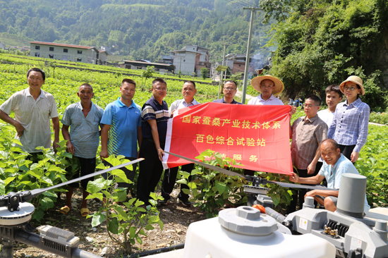 桑蠶飛防技術培訓