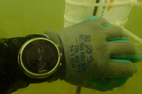 潜水采集沉降速率。广西海洋科学院供图