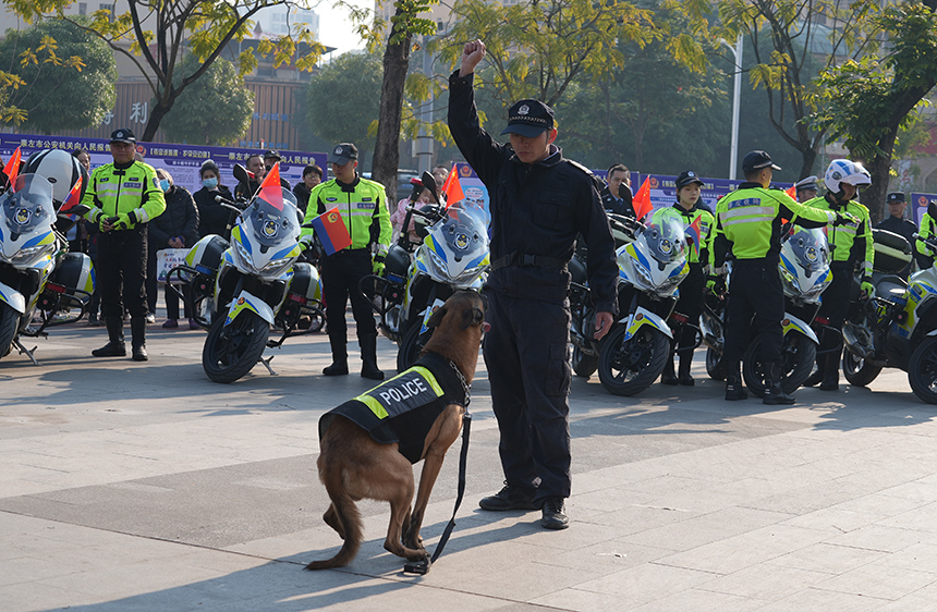 警犬在民警指令下完成多项模拟任务。崇左市公安局供图