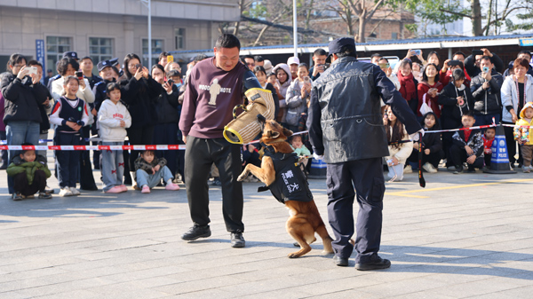 警犬實戰演示現場。龐飛勇攝