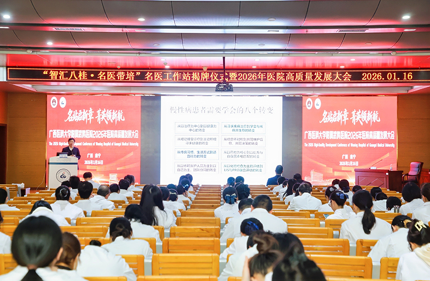 活动现场。主办方供图