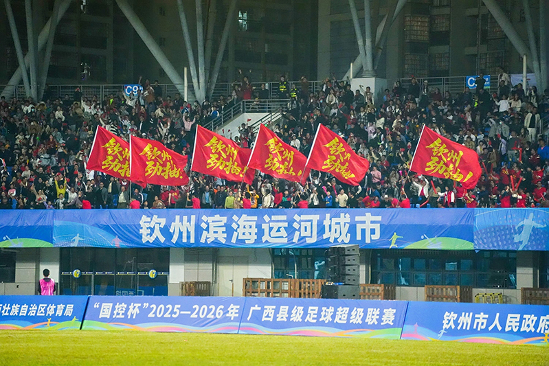 观众挥舞手中的红旗，为球队加油助威。主办方供图